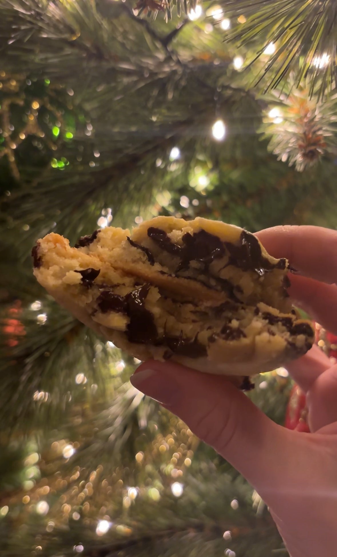 Cookie pure chocolade